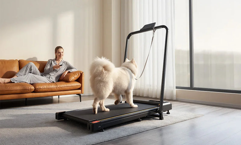 Tapis de marche pliable Formill FT41 – 2,5 CV, 1-10 km/h, accoudoirs
