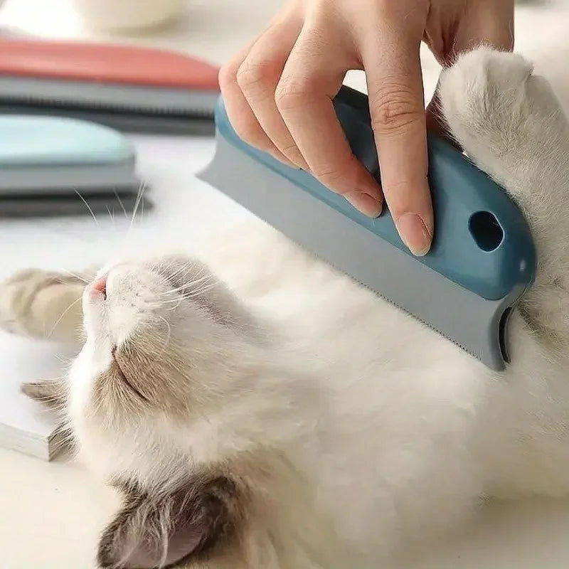 Brosse anti-poils d'animaux – ramasse poils chien chat, tissu, canapé, auto